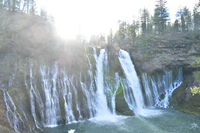 DSC_5934 (Large).JPG